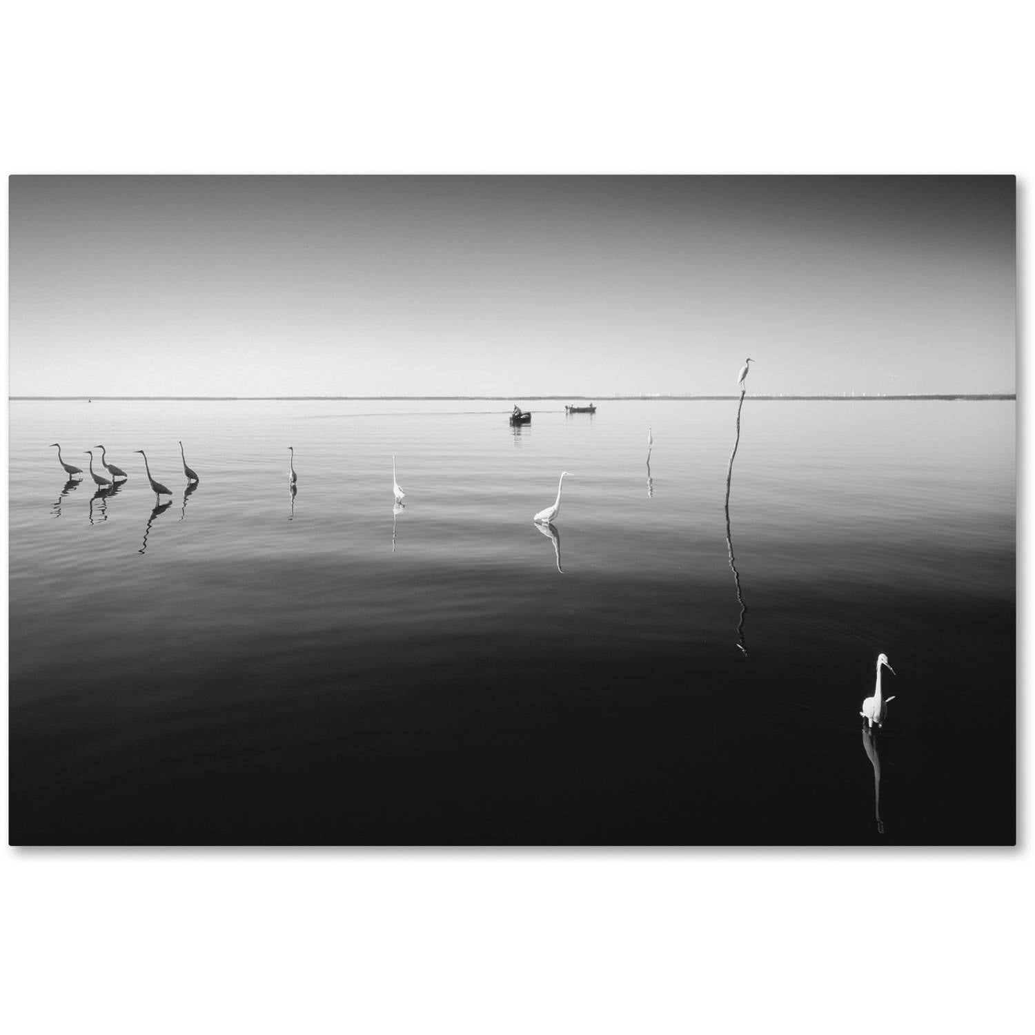 Trademark Fine Art "11 Herons" Canvas Art by Moises Levy