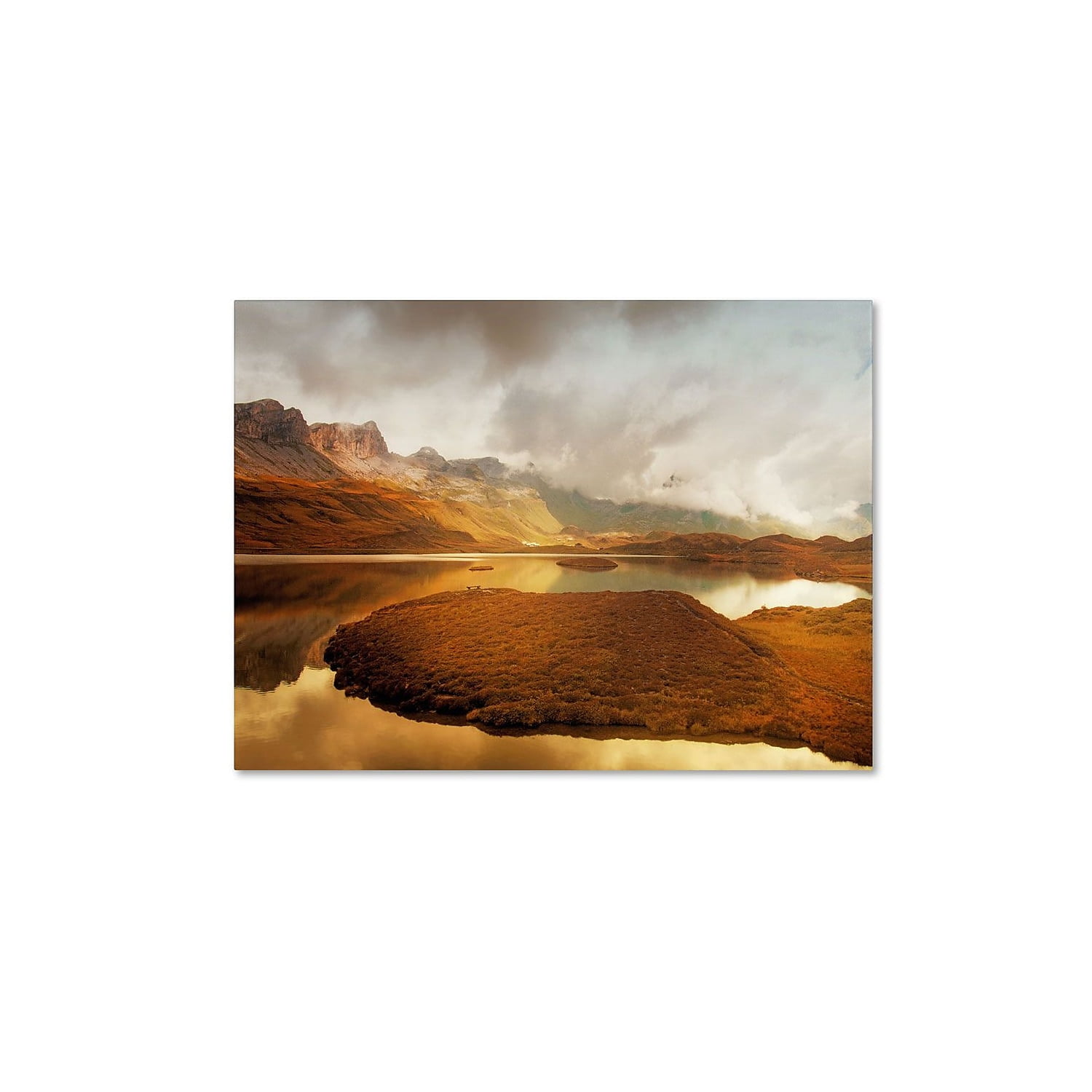 Trademark Fine Art 12" x 19" Hidden Wooden Frame Shades of Gold (PSL0206-C1219GG)