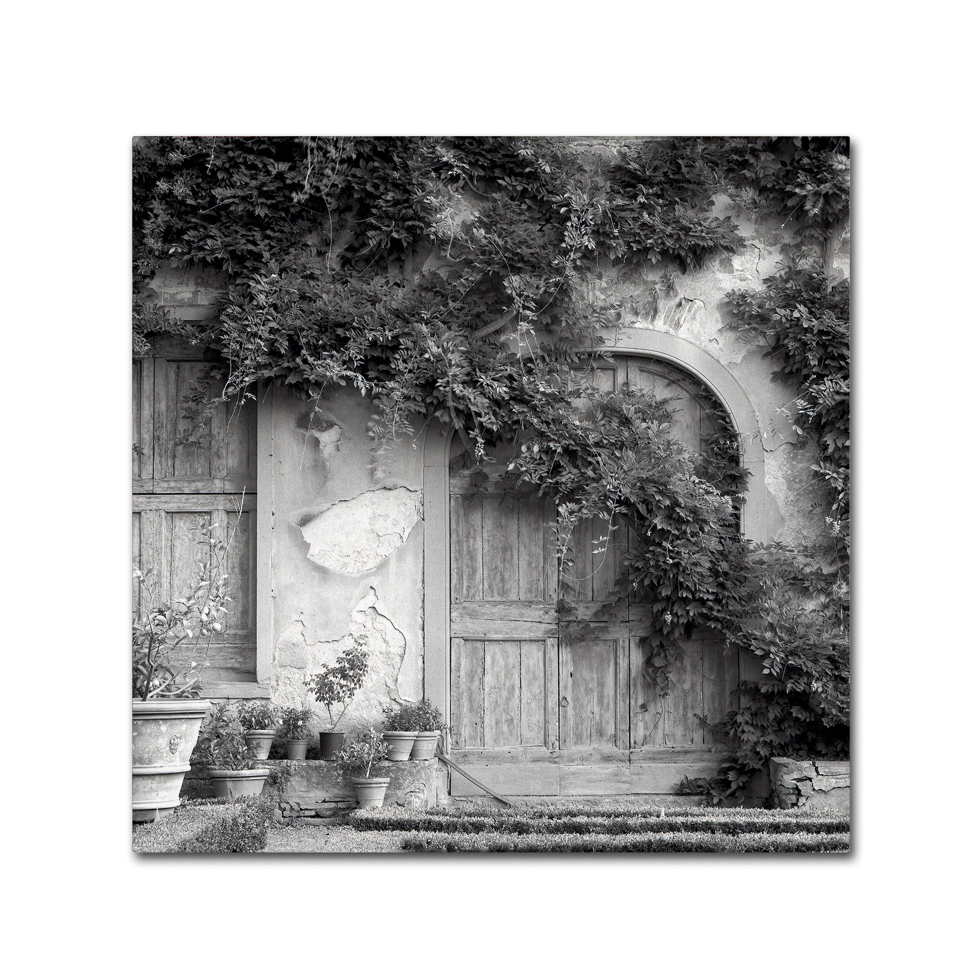 Trademark Fine Art 14 x 14 Canvas Art ' Tuscany VI ' by Alan Blaustein