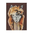 thumbnail image 1 of Trademark Fine Art 14 x 19 Canvas Art ' Animal Patterns Iii ' by Jennifer Rutledge, 1 of 4