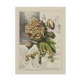 thumbnail image 1 of Trademark Fine Art 14 x 19 Floral Canvas Art ' Garden For June Ii ' by D. Bookman, 1 of 4