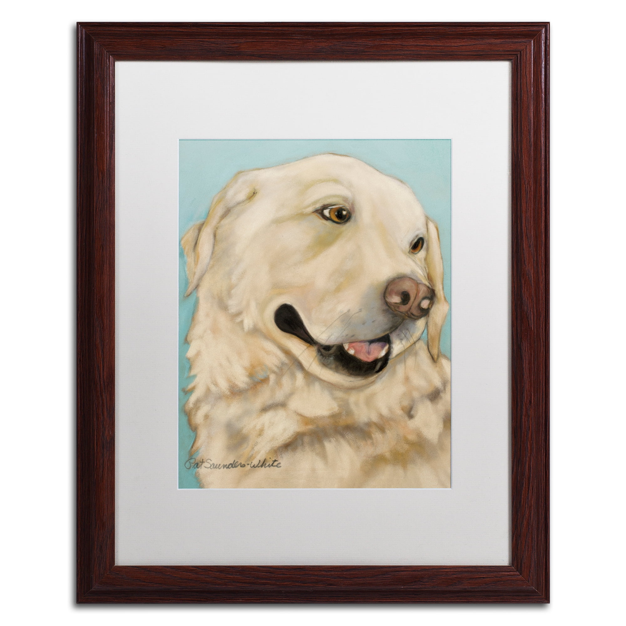 Trademark Fine Art 16 x 20 Animals Matted Framed Art ' Jasper ' by Pat Saunders-White