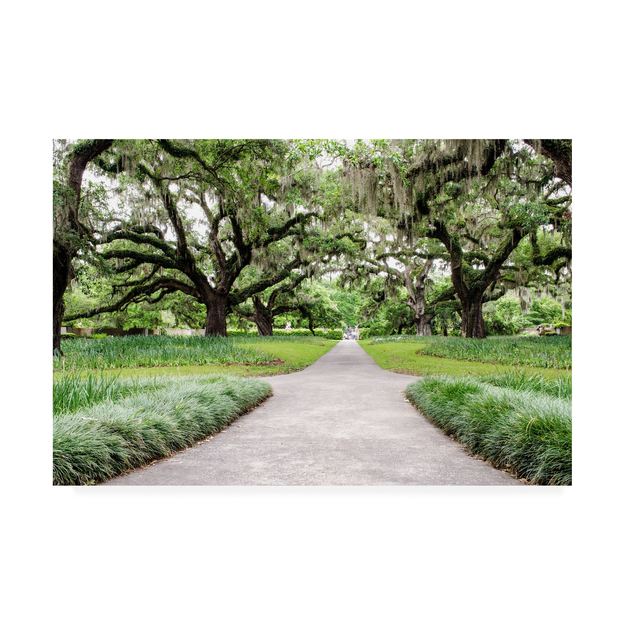 Trademark Fine Art 16 x 24 Landscape Canvas Art 'Garden Entrance' by Chuck Burdick