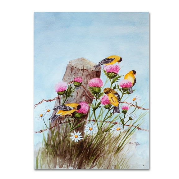 Trademark Fine Art 18 x 24 Canvas Art ' Goldfinch ' by Arie Reinhardt Taylor