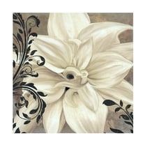 Trademark Fine Art Color Bakery Winter White II Canvas Wall Art - 18x18