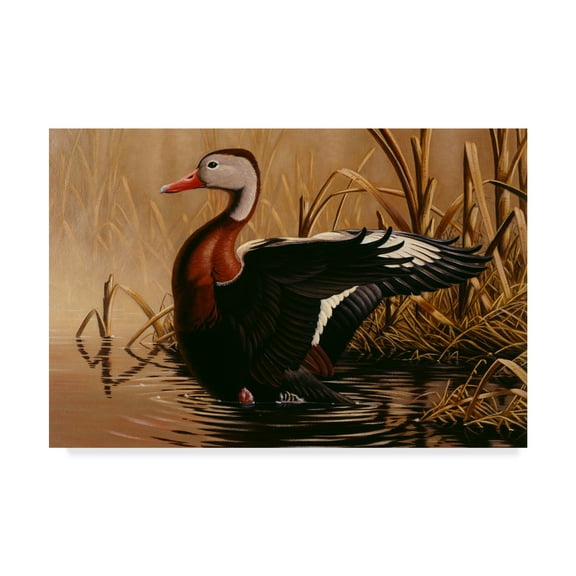 Trademark Fine Art '1988 Black Bellied Duck' Canvas Art by Wilhelm Goebel