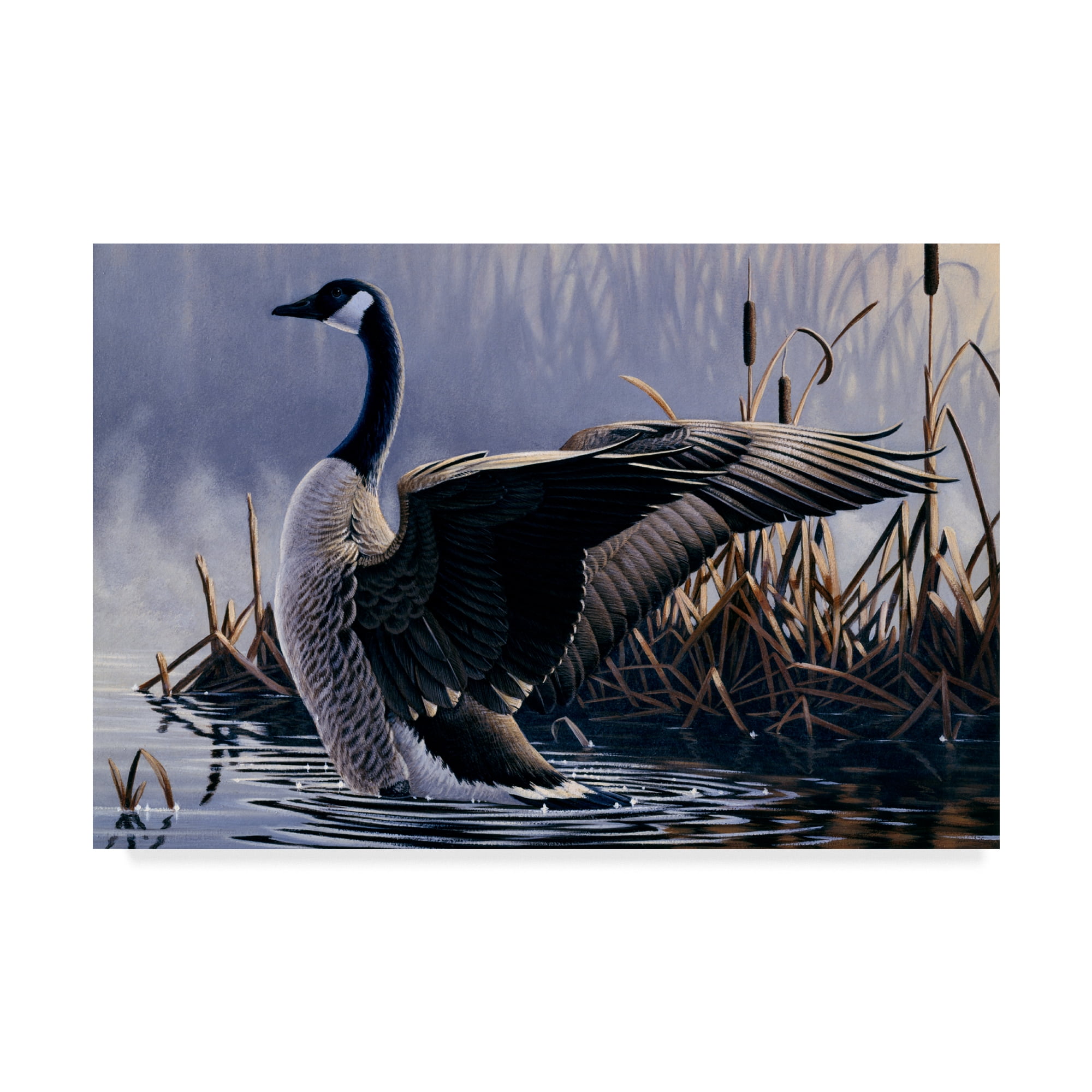 Trademark Fine Art '1992 Canada Goose' Canvas Art by Wilhelm Goebel