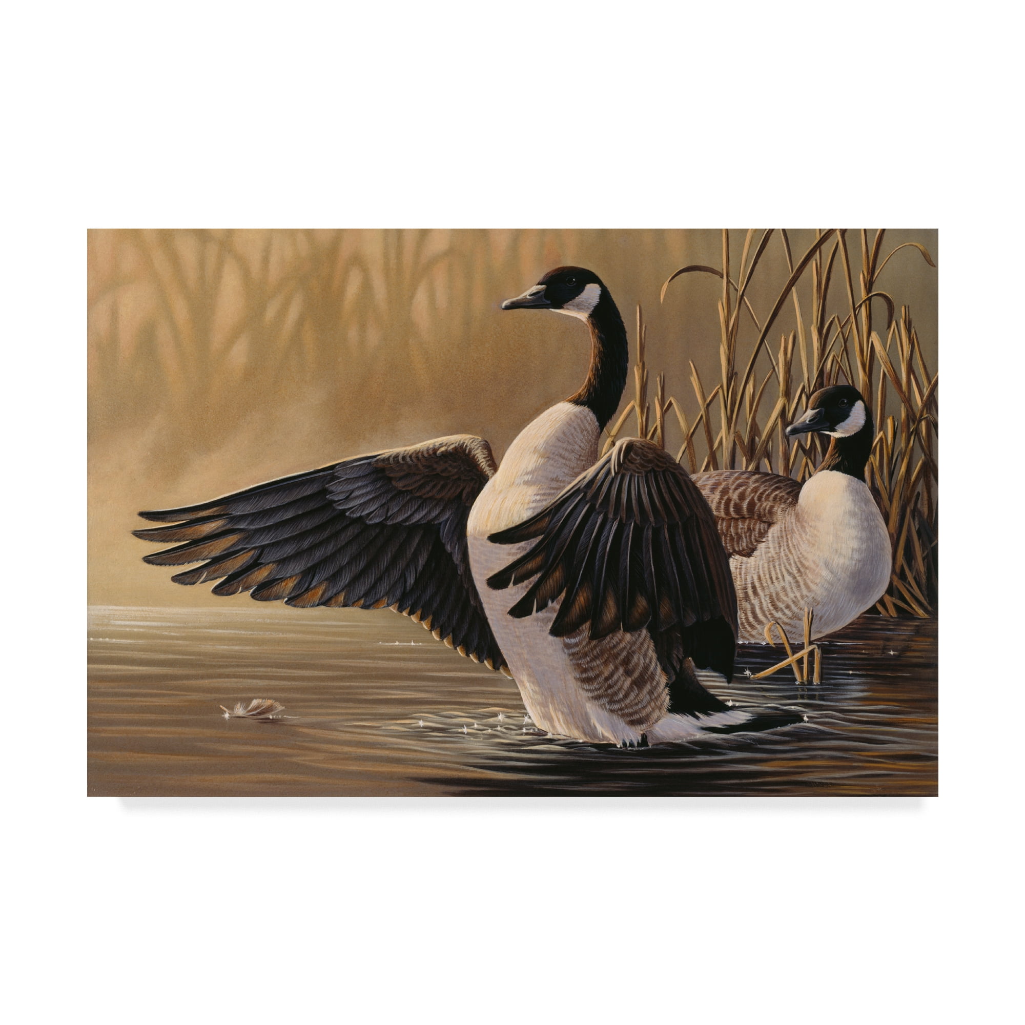 Trademark Fine Art '1994 Canada Geese' Canvas Art by Wilhelm Goebel