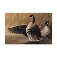 thumbnail image 1 of Trademark Fine Art '1994 Canada Geese' Canvas Art by Wilhelm Goebel, 1 of 3