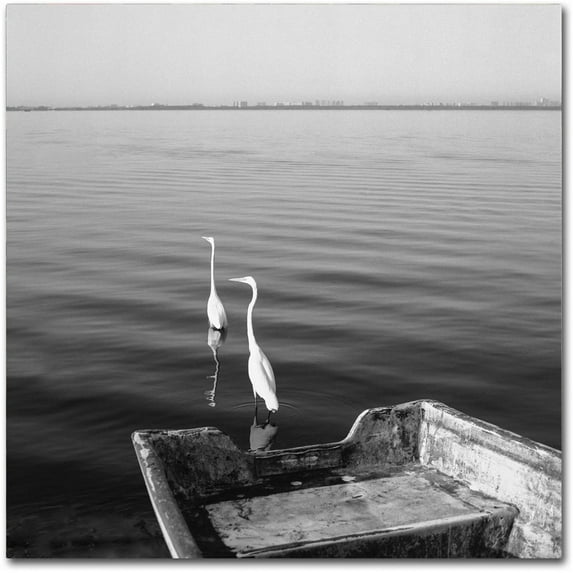 Trademark Fine Art "2 Herons Leaving" Canvas Art by Moises Levy