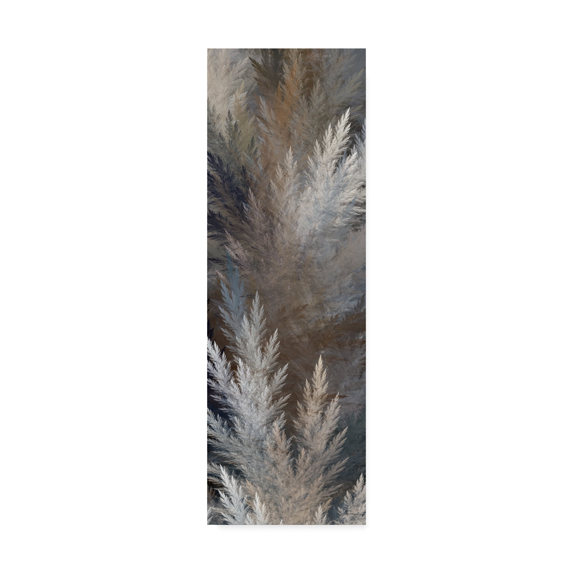 Trademark Fine Art '2-Up Pampas Panels I' Canvas Art by James Burghardt