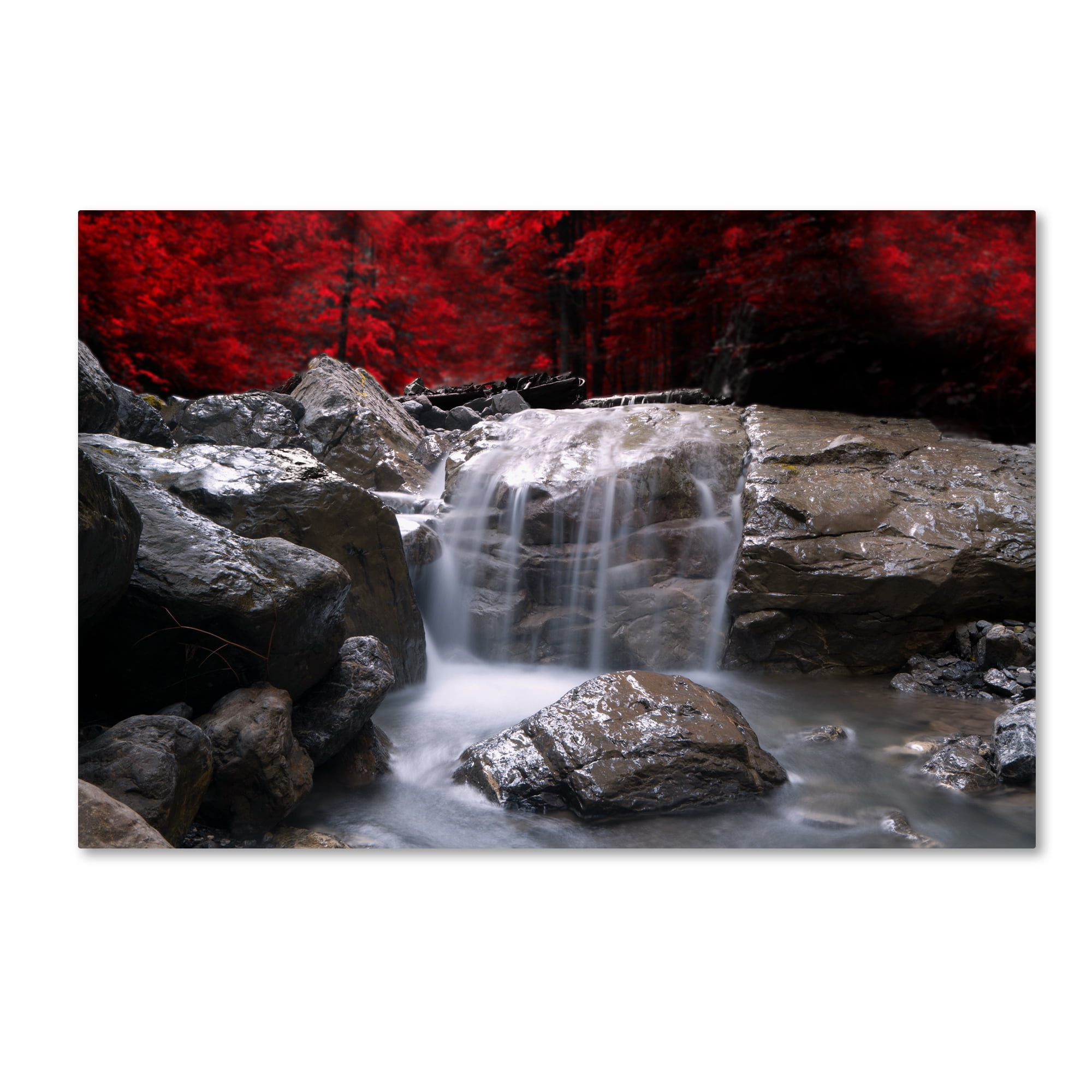 Philippe Sainte-Laudy Red Vison Contemporary Canvas Landscape Wall Art