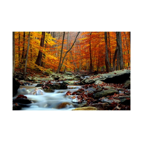 Trademark Fine Art CATeyes Ultimate Truth Canvas Wall Art - 22x32