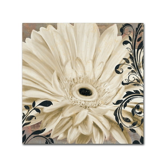 Trademark Fine Art 24x24 Floral Canvas Wall Art 'Winter White I' by Color Bakery