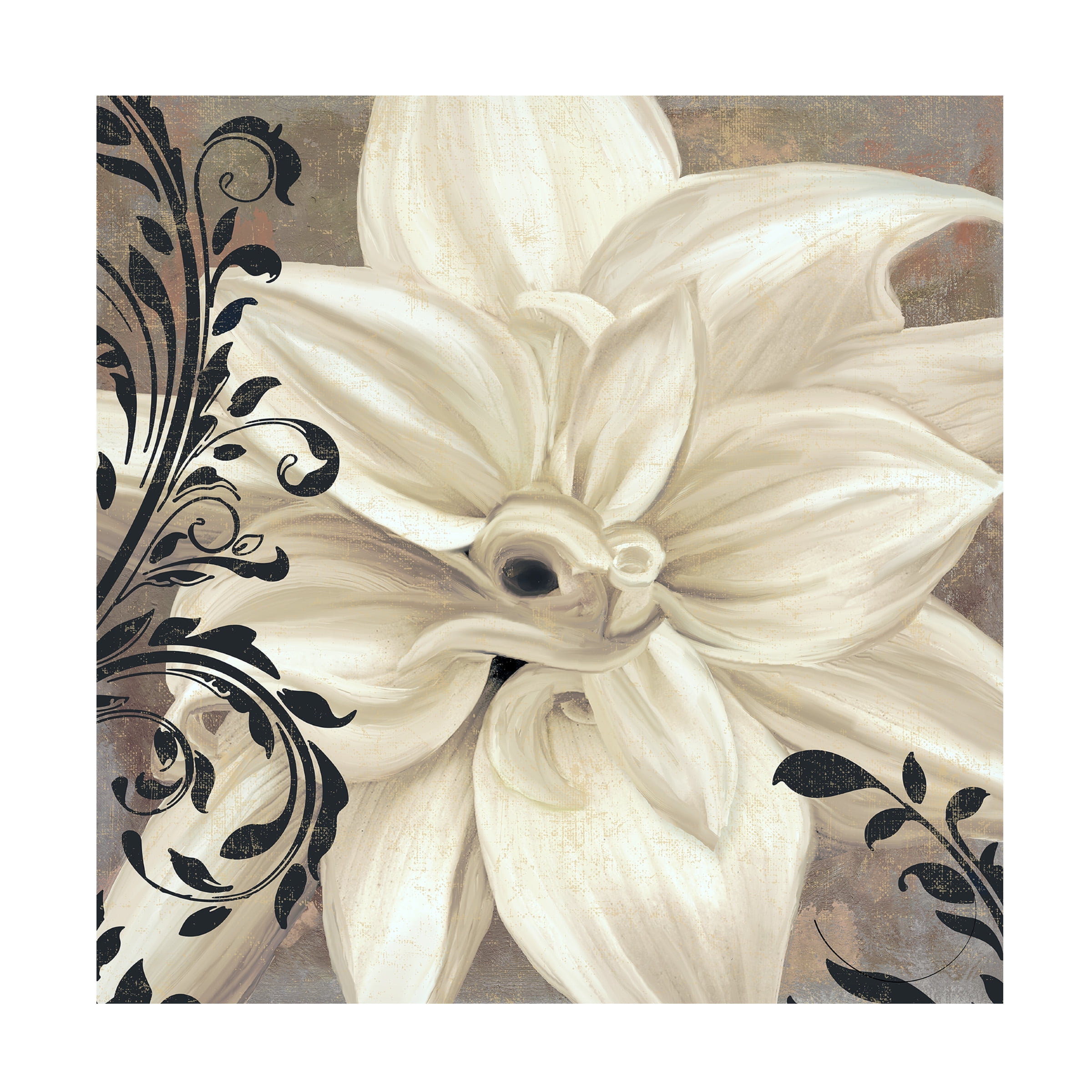 Trademark Fine Art Color Bakery Winter White II Canvas Wall Art - 24x24