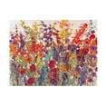 thumbnail image 1 of Trademark Fine Art Tim OToole Variety Of Flowers Ii Canvas Wall Art - 24x32, 1 of 5