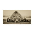thumbnail image 1 of Trademark Fine Art Phburchett Deep Sleep Canvas Wall Art - 24x47, 1 of 4