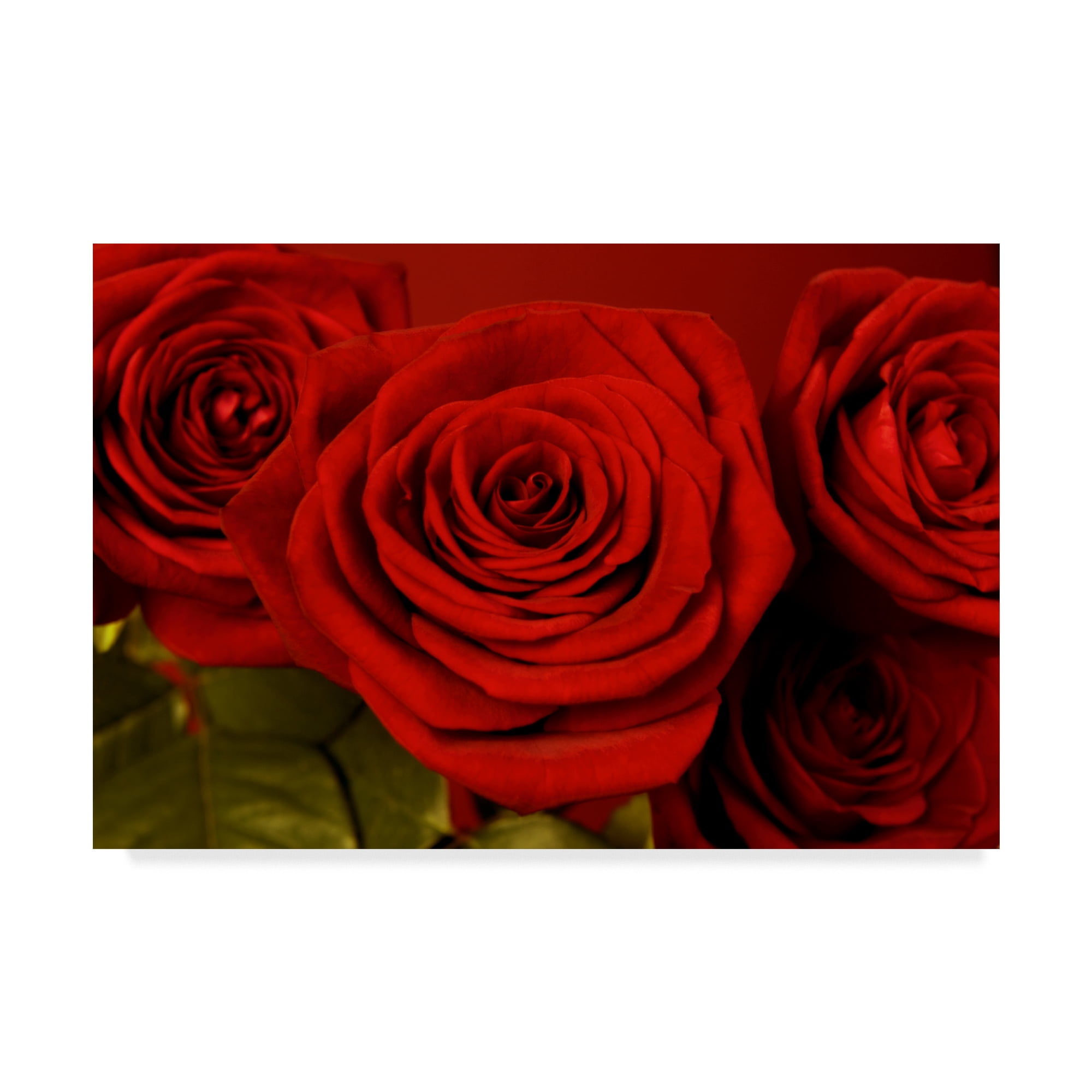 Trademark Fine Art '3 Red Roses' Canvas Art by Tom Quartermaine