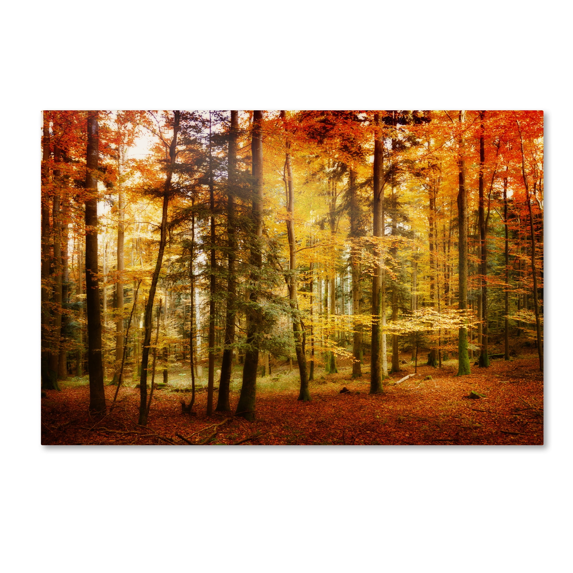 Large Autumn Forest Landscape Canvas Art with Frame