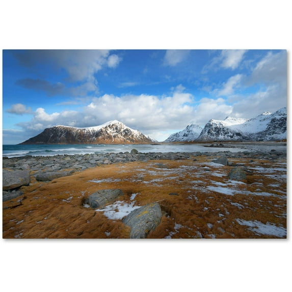 Trademark Fine Art "32 Blues" Canvas Art by Philippe Sainte-Laudy