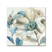 Trademark Fine Art 35x35 Floral & Botanical Canvas Wall Art 'Indigold IV' by Lisa Audit