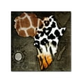 thumbnail image 1 of Trademark Fine Art 35x35 Maps Canvas Wall Art 'Animal Map Of Africa' by Color Bakery, 1 of 4