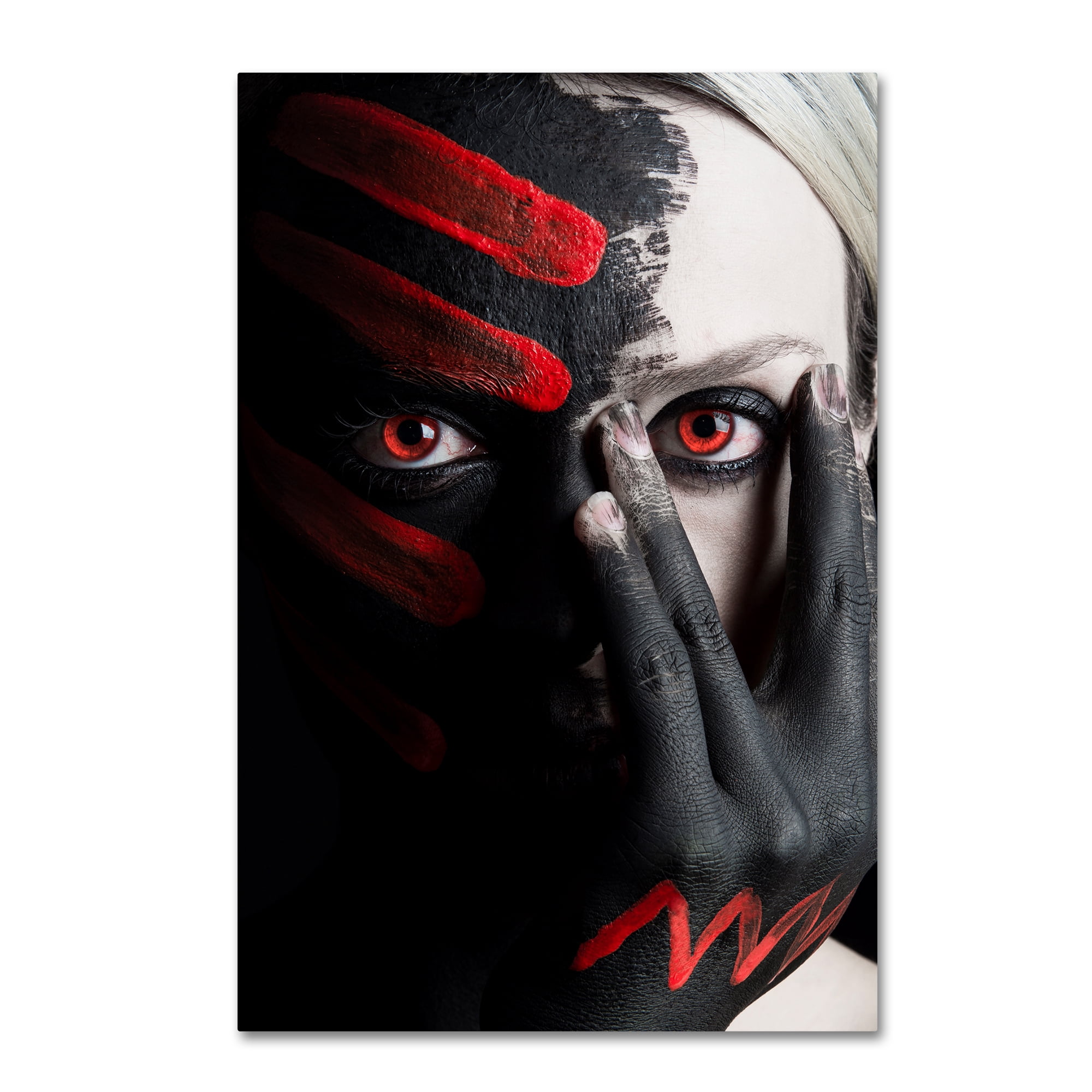 Trademark Fine Art '4 Elements Fire' Canvas Art by Tim Paza May