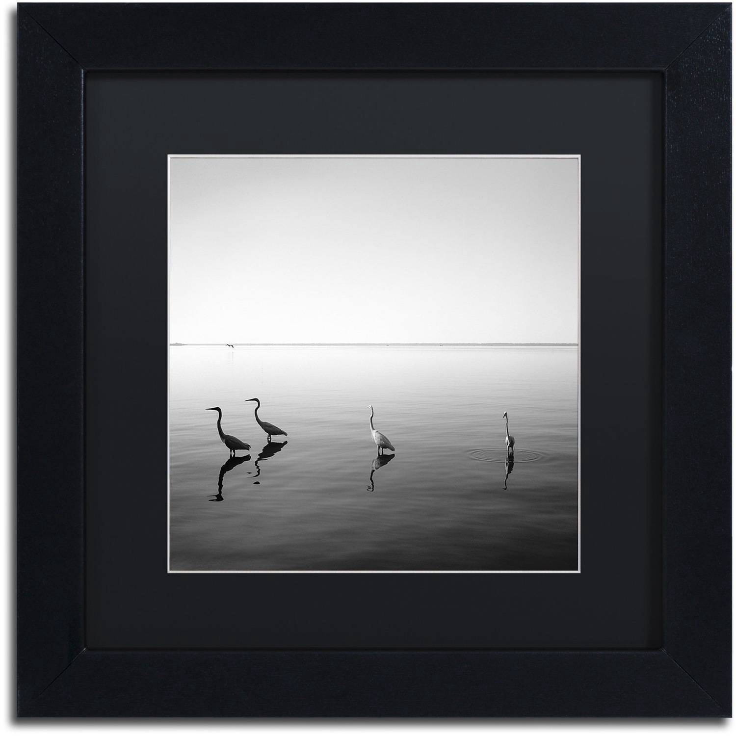 Trademark Fine Art "4 Herons" Canvas Art by Moises Levy Black Matte, Black Frame