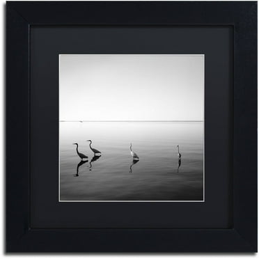 Trademark Fine Art "4 Herons" Canvas Art by Moises Levy Black Matte, Black Frame
