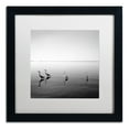 thumbnail image 1 of Trademark Fine Art "4 Herons" Canvas Art by Moises Levy White Matte, Black Frame, 1 of 5