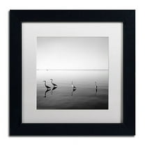 Trademark Fine Art "4 Herons" Canvas Art by Moises Levy White Matte, Black Frame