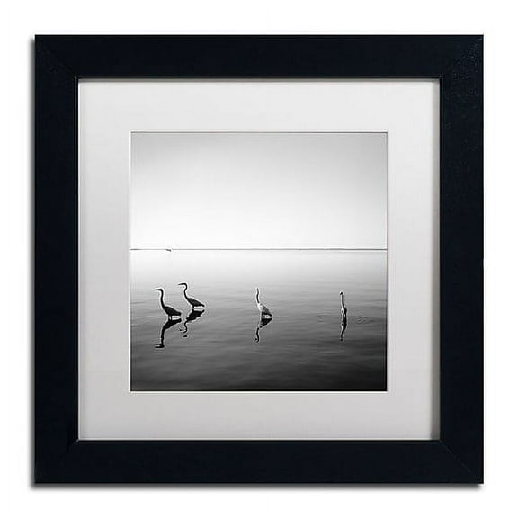 Trademark Fine Art "4 Herons" Canvas Art by Moises Levy White Matte, Black Frame