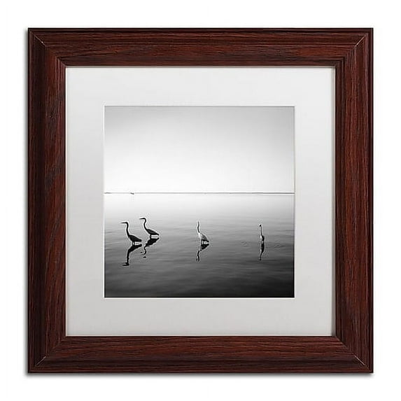 Trademark Fine Art "4 Herons" Canvas Art by Moises Levy White Matte, Wood Frame
