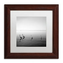 Trademark Fine Art "4 Herons" Canvas Art by Moises Levy White Matte, Wood Frame