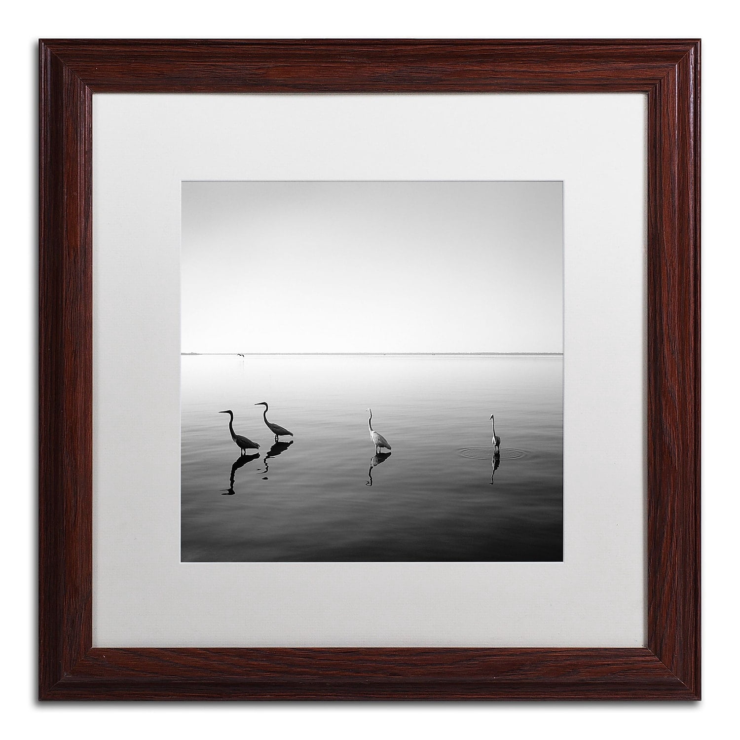 Trademark Fine Art "4 Herons" Canvas Art by Moises Levy White Matte, Wood Frame