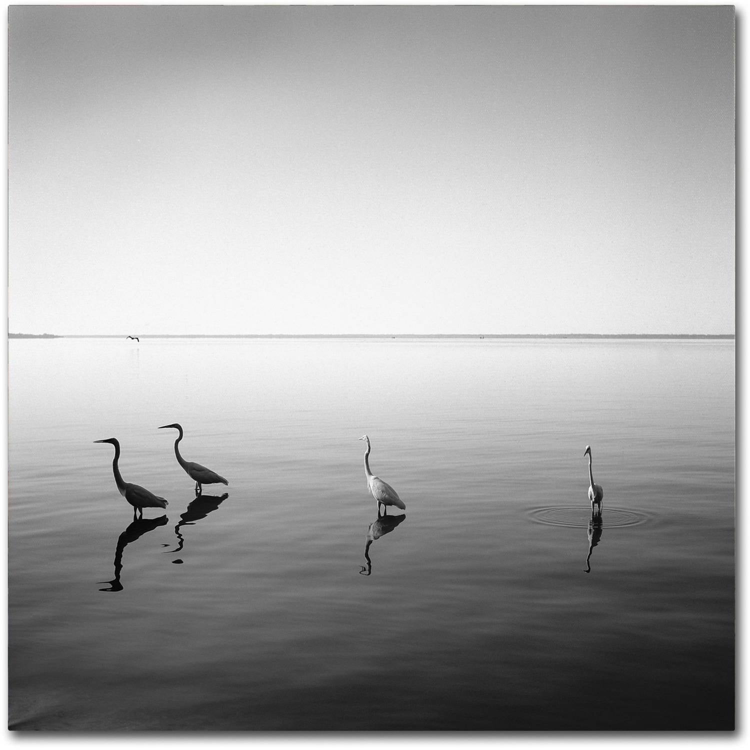 Trademark Fine Art "4 Herons" Canvas Art by Moises Levy