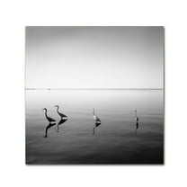 Trademark Fine Art "4 Herons" Canvas Art by Moises Levy