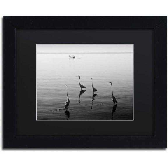 Trademark Fine Art "4 Herons and Boat" Canvas Art by Moises Levy Black Matte, Black Frame