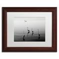 thumbnail image 1 of Trademark Fine Art "4 Herons and Boat" Canvas Art by Moises Levy White Matte, Wood Frame, 1 of 4