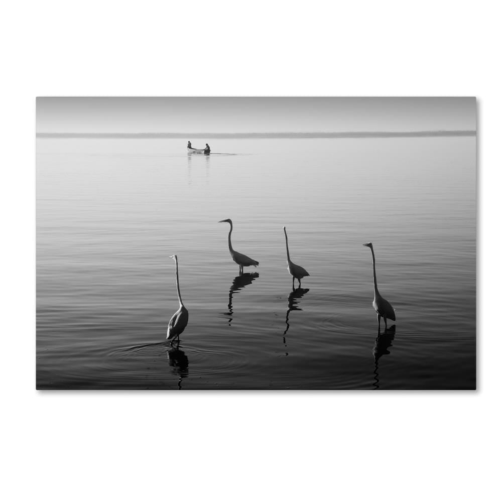 Trademark Fine Art "4 Herons and Boat" Canvas Art by Moises Levy