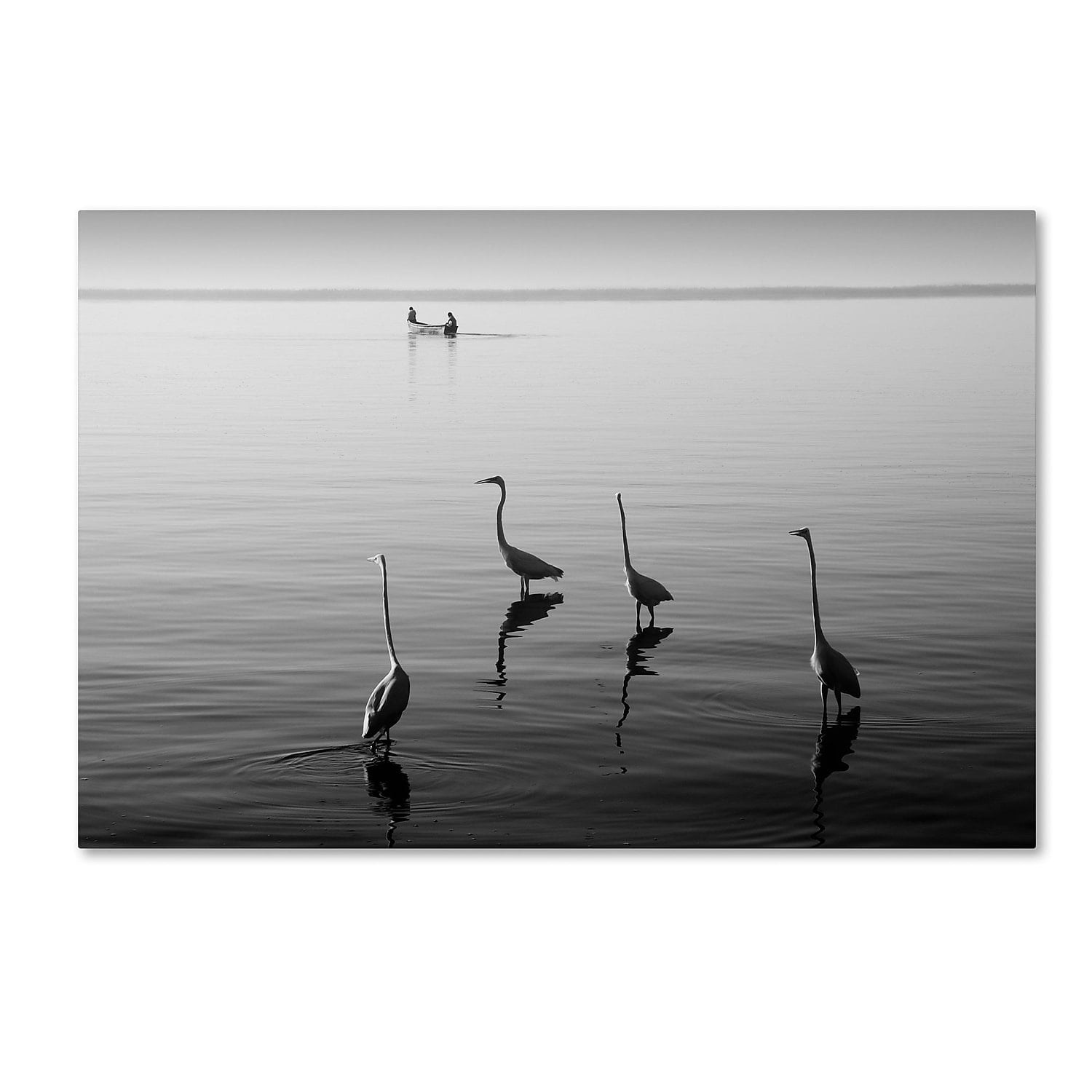 Trademark Fine Art "4 Herons and Boat" Canvas Art by Moises Levy