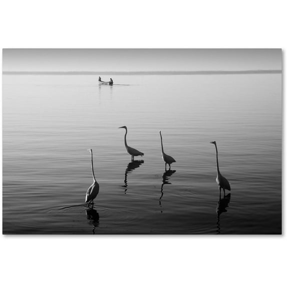 Trademark Fine Art "4 Herons and Boat" Canvas Art by Moises Levy