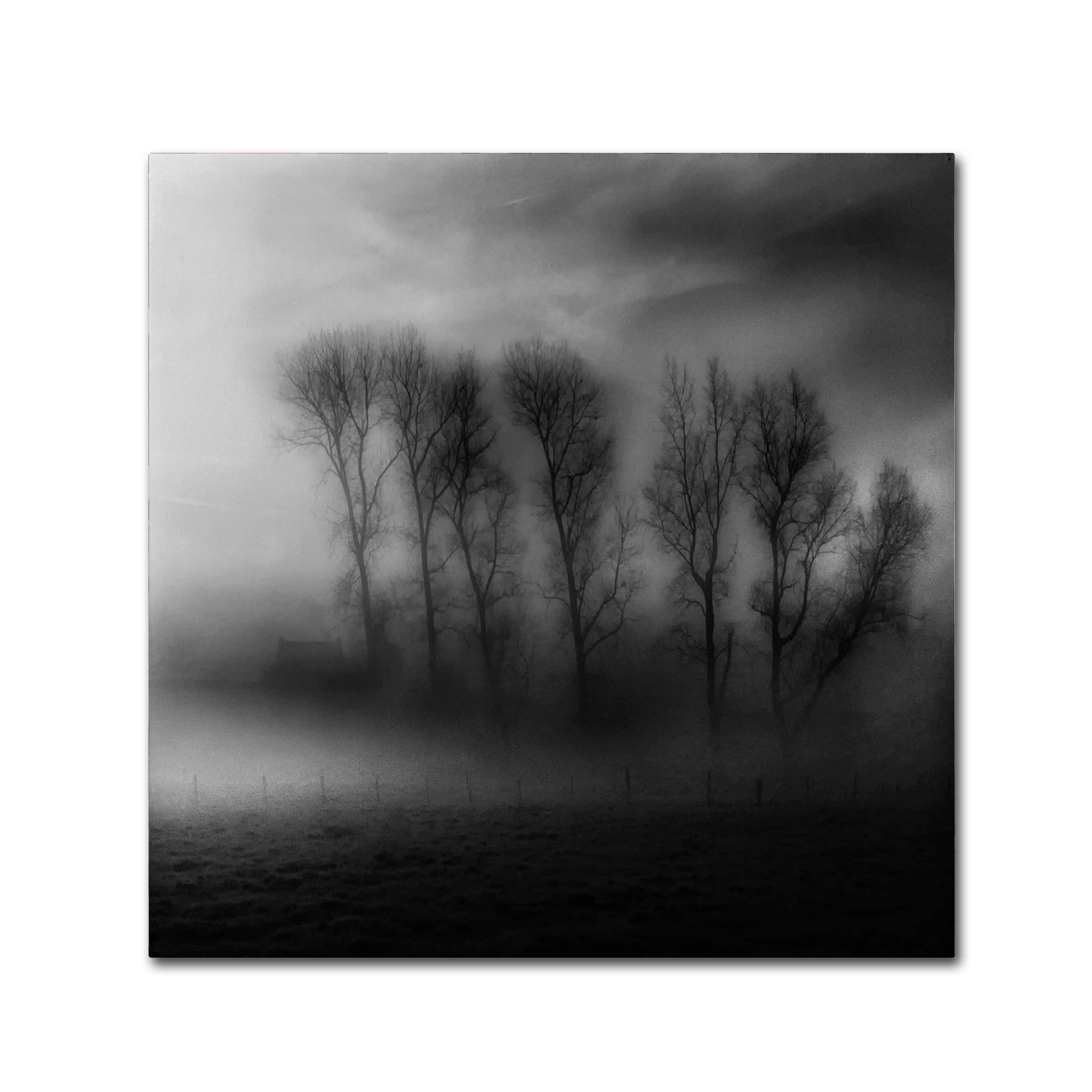Trademark Fine Art '50 Shades Of Fog' Canvas Art by Yvette Depaepe
