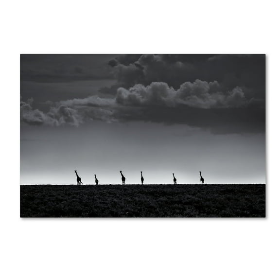 Trademark Fine Art '6 Giraffes' Canvas Art by Greg Metro