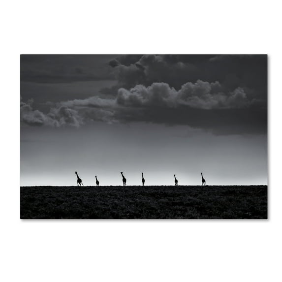 Trademark Fine Art '6 Giraffes' Canvas Art by Greg Metro
