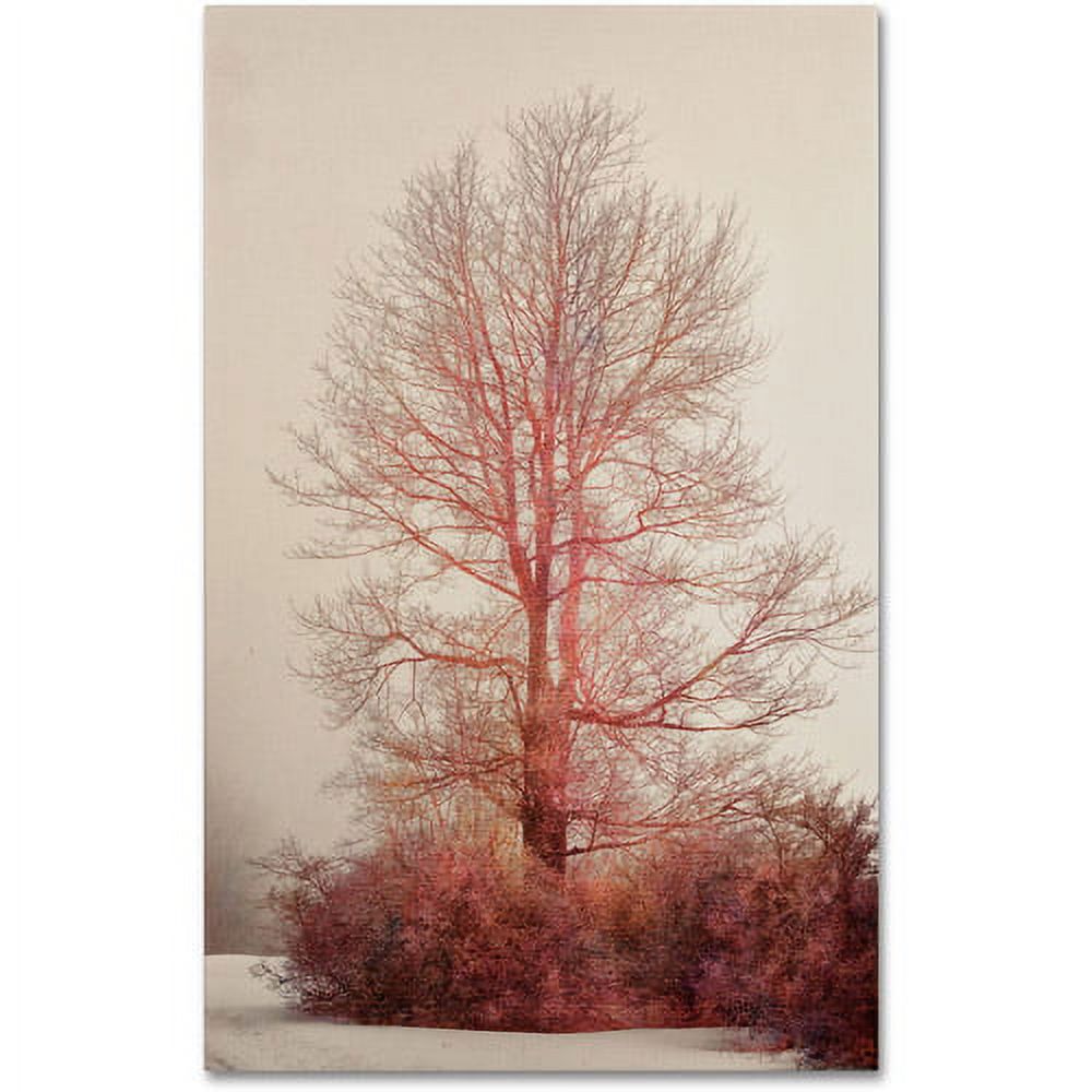 Trademark Fine Art "A-Blush in the Fog" Canvas Art by Lois Bryan