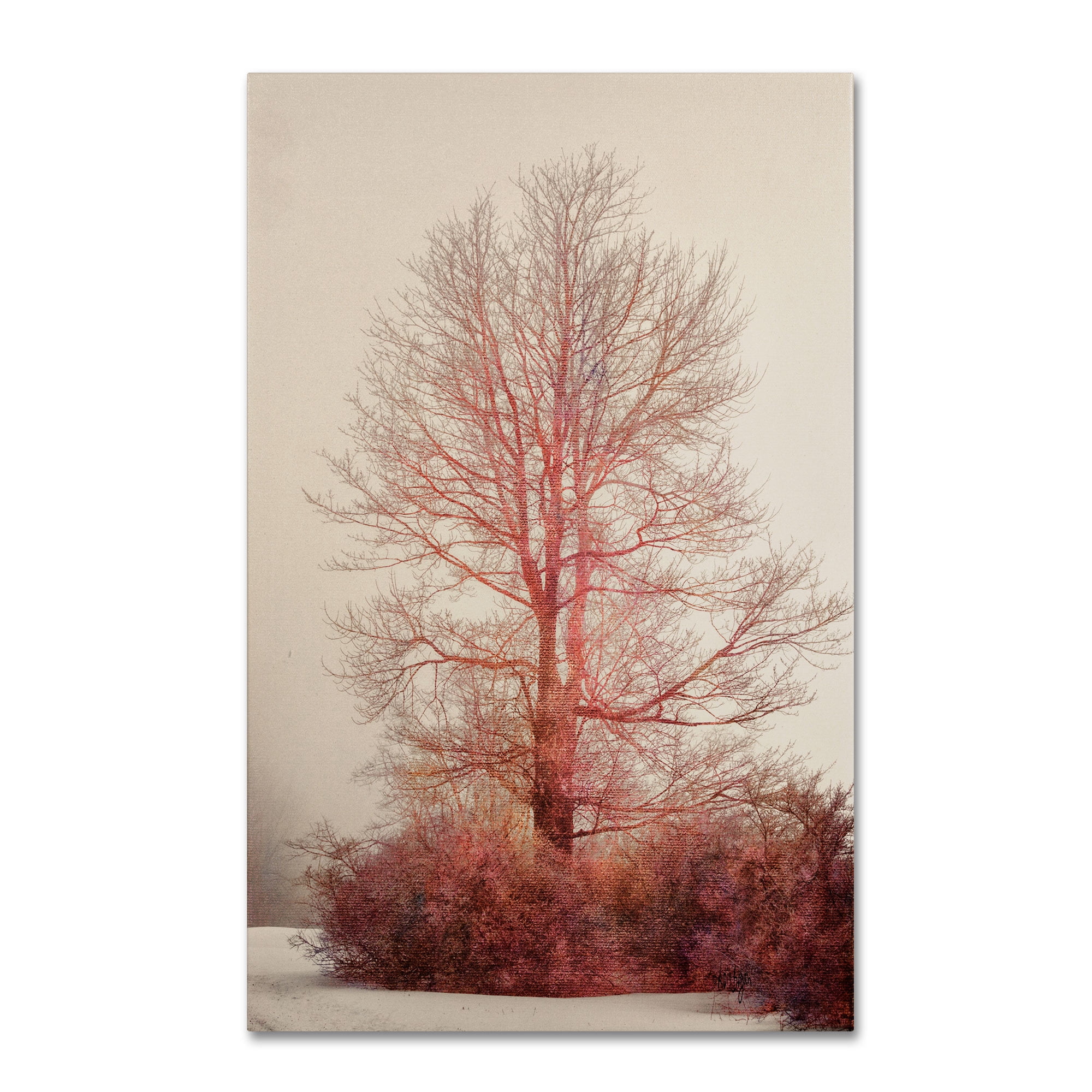 Lois Bryan 'A-Blush in the Fog' Canvas Art 16 x 24