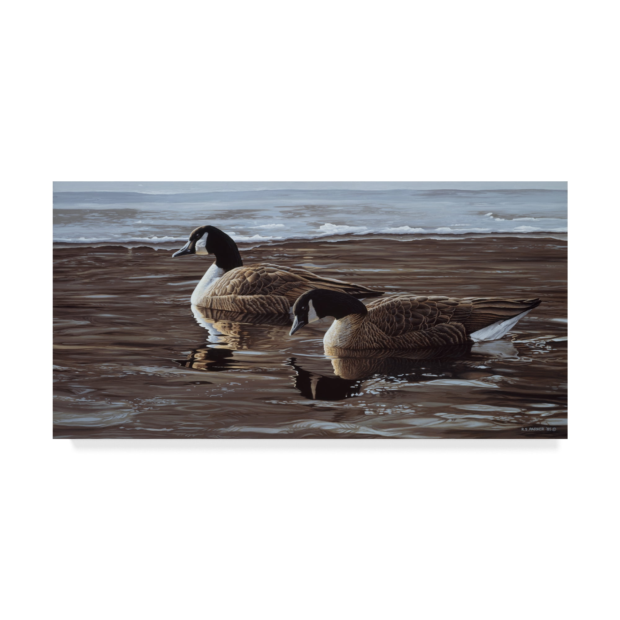 Trademark Fine Art 'A Break In The Ice Canada Geese' Canvas Art by Ron Parker
