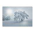 thumbnail image 1 of Trademark Fine Art 'A Cold Winter Morning' Canvas Art by Philippe Sainte-Laudy, 1 of 3