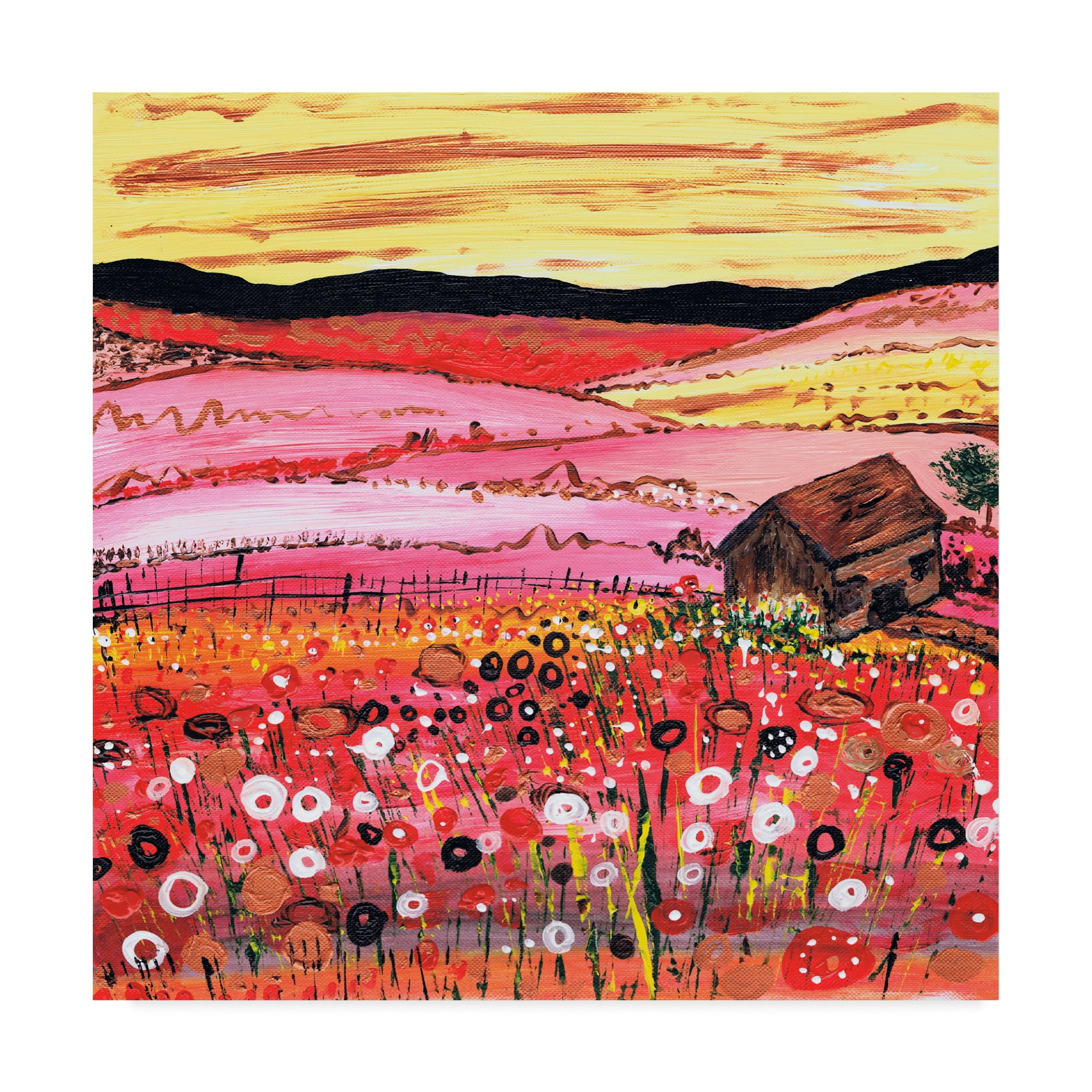 Trademark Fine Art 'A Cottage in Summer' Canvas Art by Caroline Duncan ART